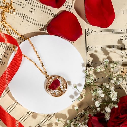 Rarejoy Combo Gift Set for Women, Valentine Gifts, Birthday Gift for Wife, Handmade Dreamcatcher, Scented Candle, Ceramic Mug, Greeting Card, Rose Flower Necklace Pendant, 1 Litres - Image 4