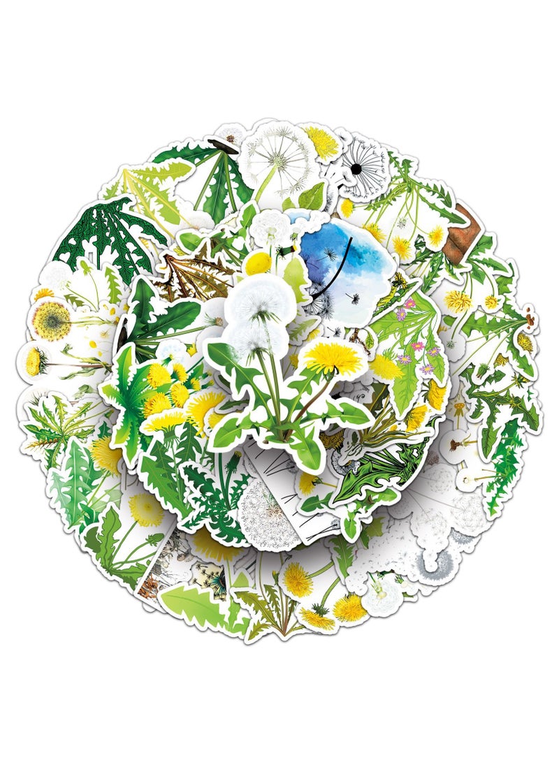 ملصقات الهندباء 50 قطعة مقاومة للماء بتصميم عصري على شكل نبات جمالي لأجهزة الكمبيوتر المحمول وزجاجة الماء ولوح التزلج وسجل القصاصات والسيارات والأمتعة والدراجات النارية والجيتار والكمبيوتر وملصقات الزهور اللطيفة المقاومة للماء للبالغين - Image 1