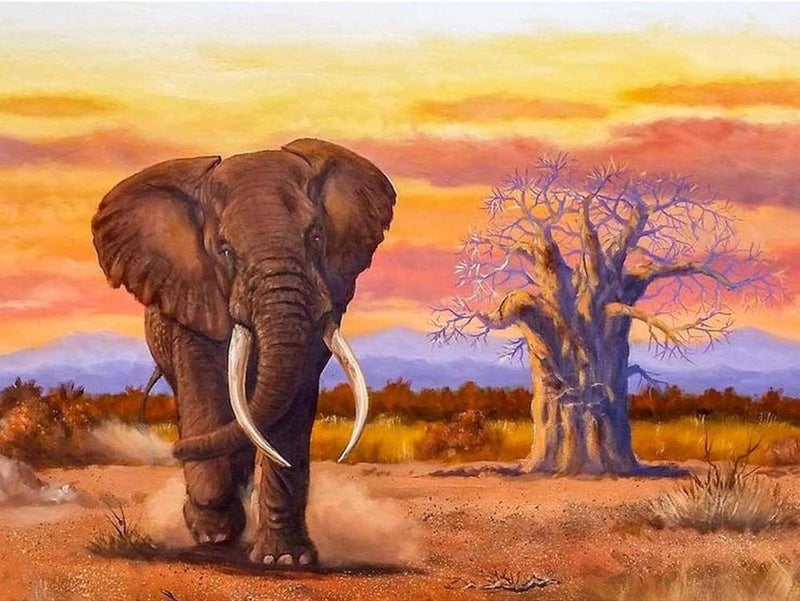 FunBlast FunBlast 5D Diamond Painting Kit 12x16inch Diamond Painting Kit for Adults Kids Suitable for Home Leisure and Wall Decoration Gift for Kids and Adults Elephant  - Image 1