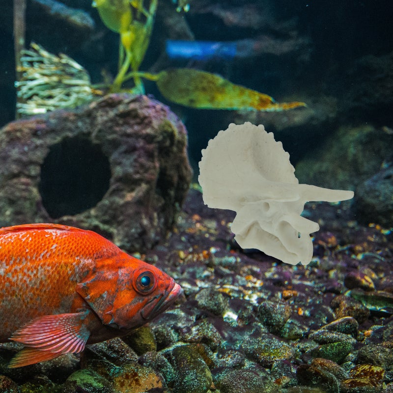 4 pcs Fish Aquarium Decoration Resin Fish Cave Decorative Accessories - Image 5