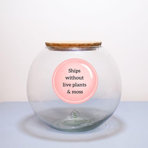 ByTheLeaf DIY Terrarium Kit with Green Elements | Fishbowl Glass Container with Cork Lid | Easy-to-Maintain Mini Indoor Garden | Eco-Friendly Decor | Planters & Supplies Sold Seperately - Image 1