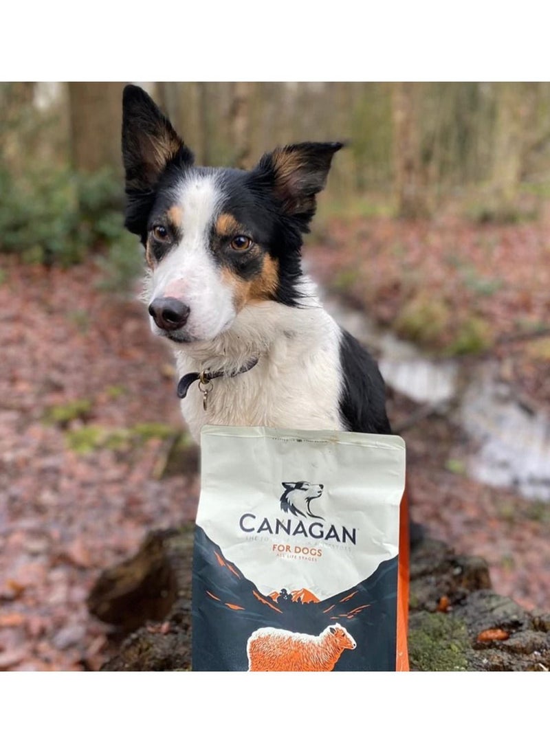 Grass Fed Lamb - For Puppies & Adults