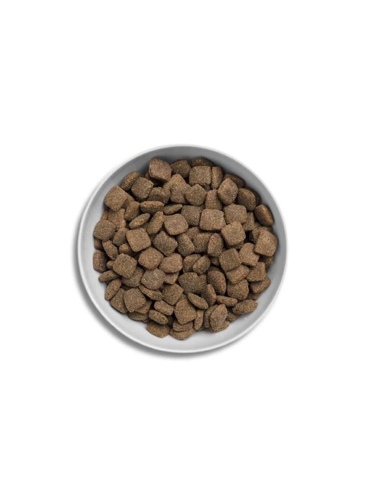 Grass Fed Lamb - For Puppies & Adults