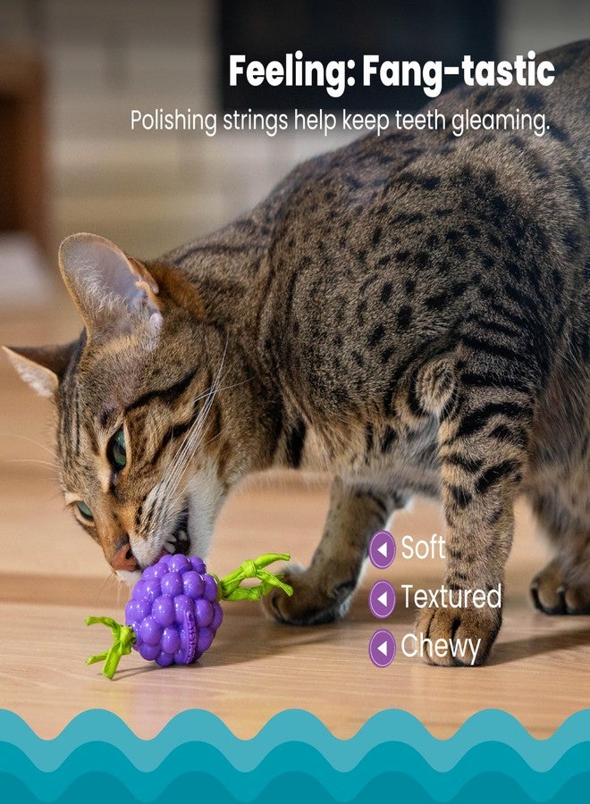 Catstages Bouncing Grape Teether Cat Toy, Soft and Textured Chew, Catnip Oil Coating - Image 3