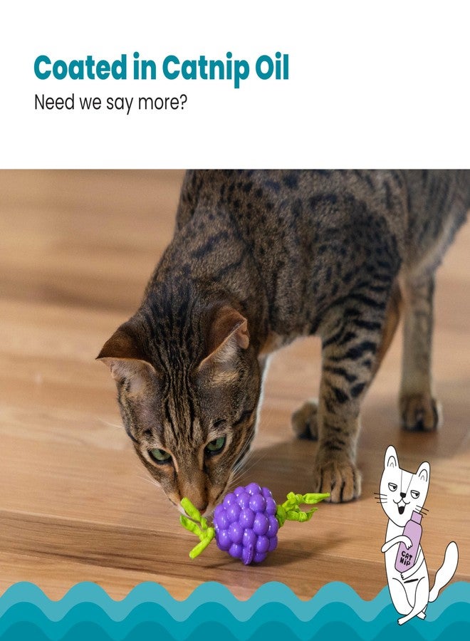 Catstages Bouncing Grape Teether Cat Toy, Soft and Textured Chew, Catnip Oil Coating - Image 4