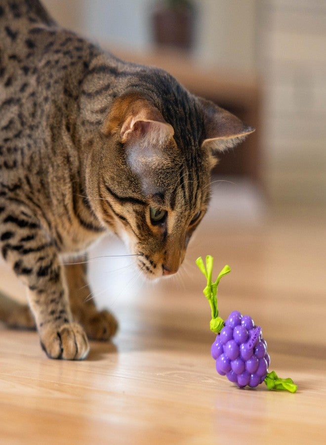 Catstages Bouncing Grape Teether Cat Toy, Soft and Textured Chew, Catnip Oil Coating - Image 5