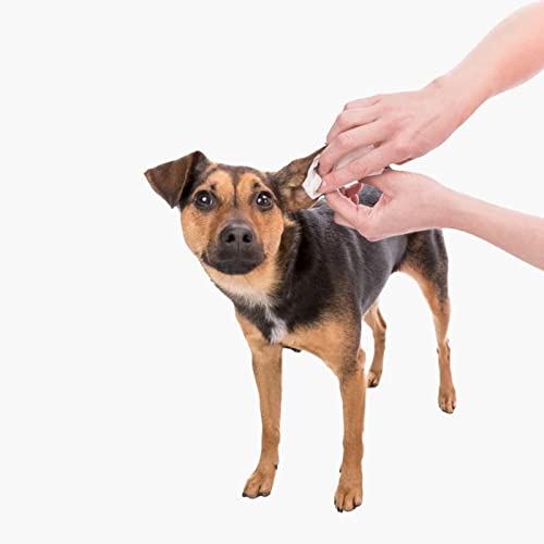Trixie: - Ear Care Wipes | Ear Care Wipes for Dogs, Cats and Other Small Animals | Made with Gentle Care Lotion for The Regular Removal of Dirt and Wax Around The Ears - (Pack of 30 Wipes) - Image 5