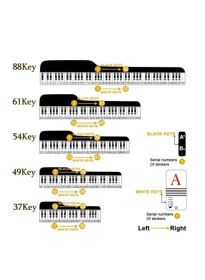 Mike Music - Piano Keyboard Stickers for 88/61/54/49/37 Key, Bold Large Letter Piano Stickers for Learning, Removable Piano Keyboard Letters, Notes Label for Beginners and Kids, Multicolor - Image 1