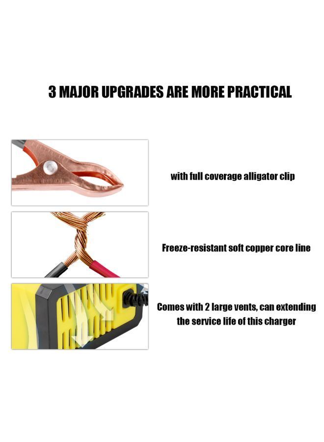 NIBEMINENT Automatic Fast Power Charging Battery With Digital LCD Display - Image 3