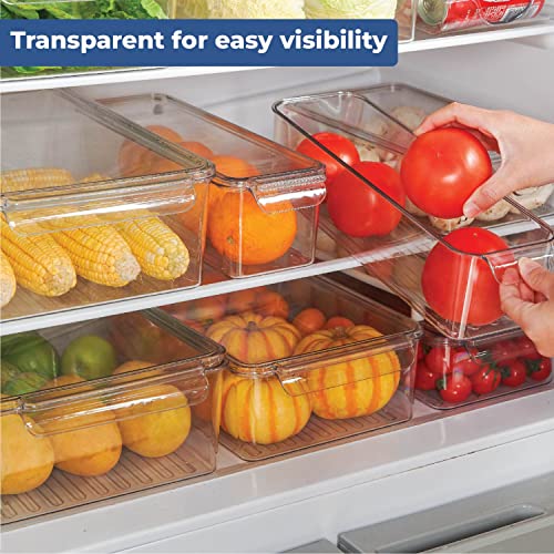 HomeStrap Set of 3, Fridge Storage Box (Transparent)| Refridgerator Freezer Shelf Organizer with Lid Kitchen Stackable Container for Vegetables, Fruits, Fish (Shark Tank Product) - Image 5