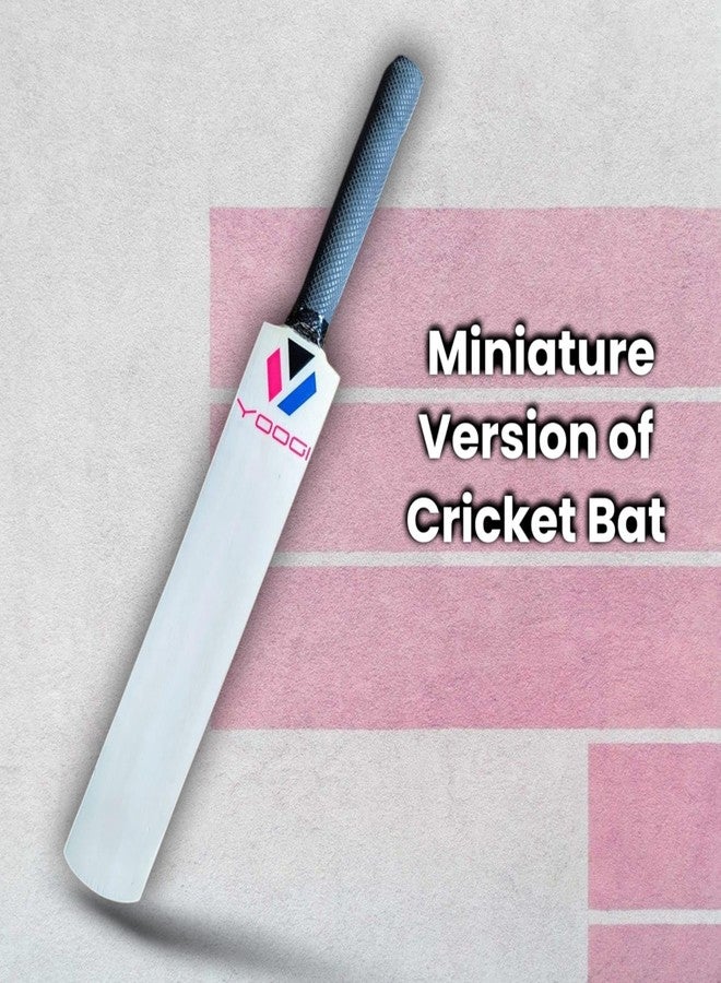 YOOGI Mini Autograph Cricket Bat Natural Wood 15 Inches (Not Meant for Playing) - Image 4