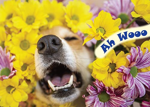 Glory To Dog Ah Wooo Happy Happy Birthday Card with Greeting Card Mailing Envelope - Image 1