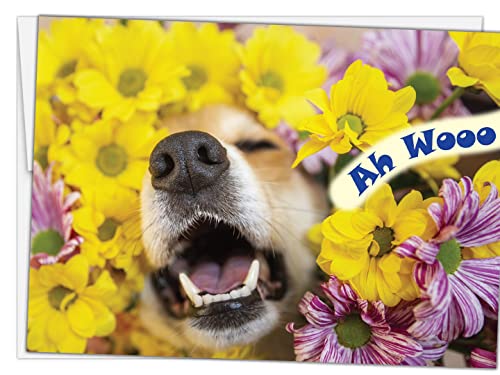 Glory To Dog Ah Wooo Happy Happy Birthday Card with Greeting Card Mailing Envelope - Image 5
