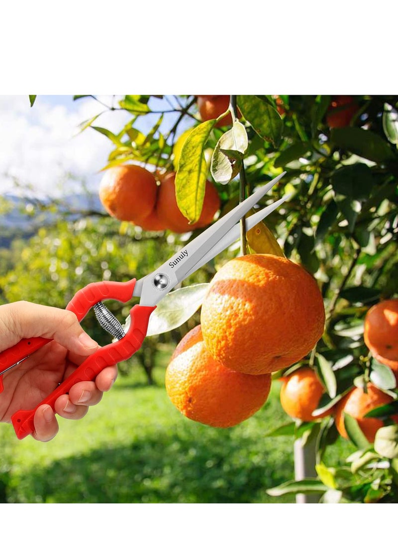 Generic - 9.5 Inch Extended Straight Stainless Steel Blade Pruning Shears for Tight Spaces - Micro-Tip Snips with Extra Long Nose Garden Scissors - Image 1