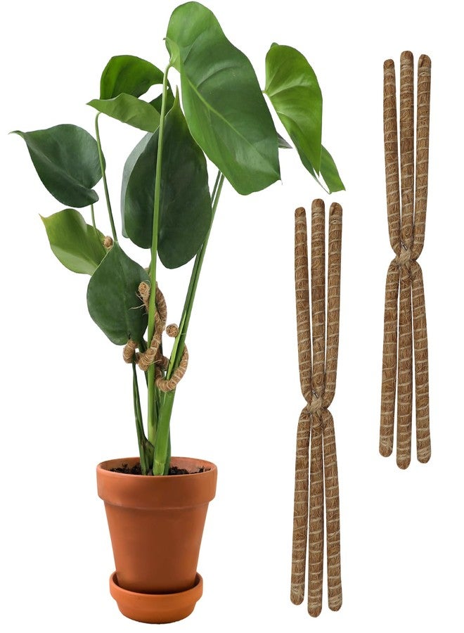RSSCIIIUL 2PC Plant Climbers Stem Holders - Image 1