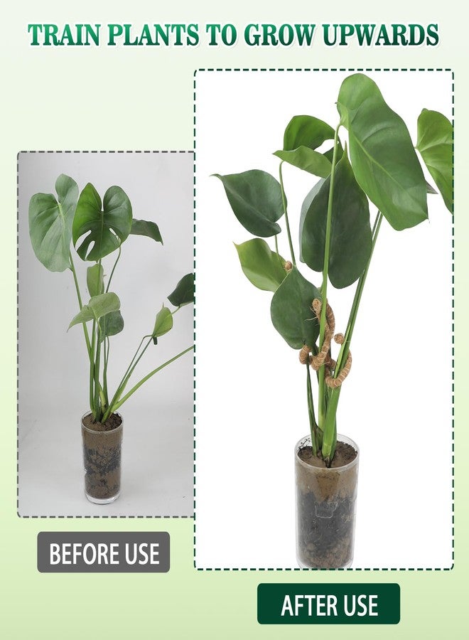 RSSCIIIUL 2PC Plant Climbers Stem Holders - Image 5