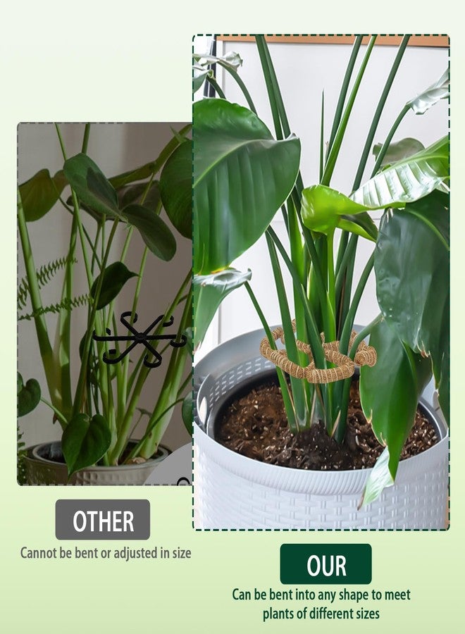 RSSCIIIUL 2PC Plant Climbers Stem Holders - Image 4