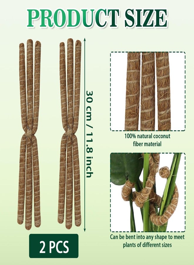 RSSCIIIUL 2PC Plant Climbers Stem Holders - Image 2