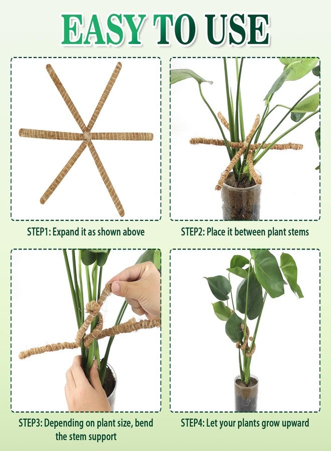 RSSCIIIUL 2PC Plant Climbers Stem Holders - Image 3