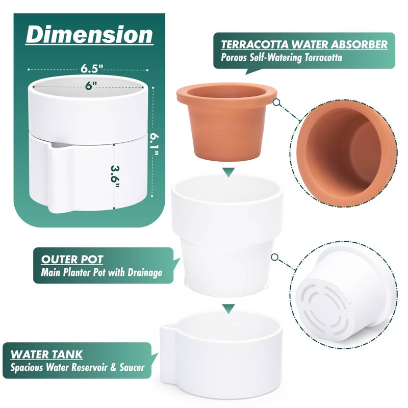 Phoenix Vine 6.5 Inch Self-Watering Planter Pot with Terracotta Insert, Deep Water Reservoir, and Ceramic-Alike BPA-Free Plastic Pot for Plant, Modern Planter for Houseplants, White, 53-A-S-1 - Image 4