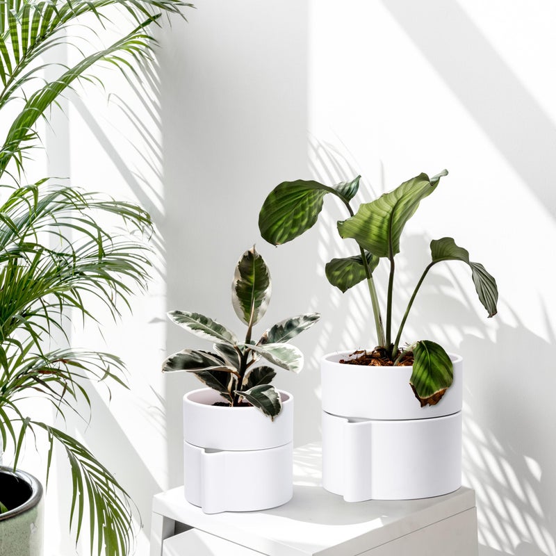 Phoenix Vine 6.5 Inch Self-Watering Planter Pot with Terracotta Insert, Deep Water Reservoir, and Ceramic-Alike BPA-Free Plastic Pot for Plant, Modern Planter for Houseplants, White, 53-A-S-1 - Image 2