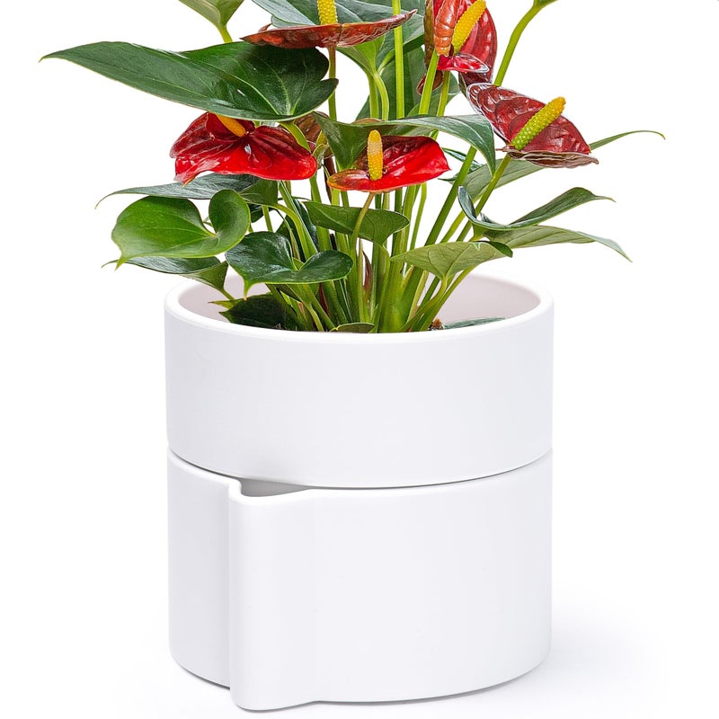 Phoenix Vine 6.5 Inch Self-Watering Planter Pot with Terracotta Insert, Deep Water Reservoir, and Ceramic-Alike BPA-Free Plastic Pot for Plant, Modern Planter for Houseplants, White, 53-A-S-1 - Image 1