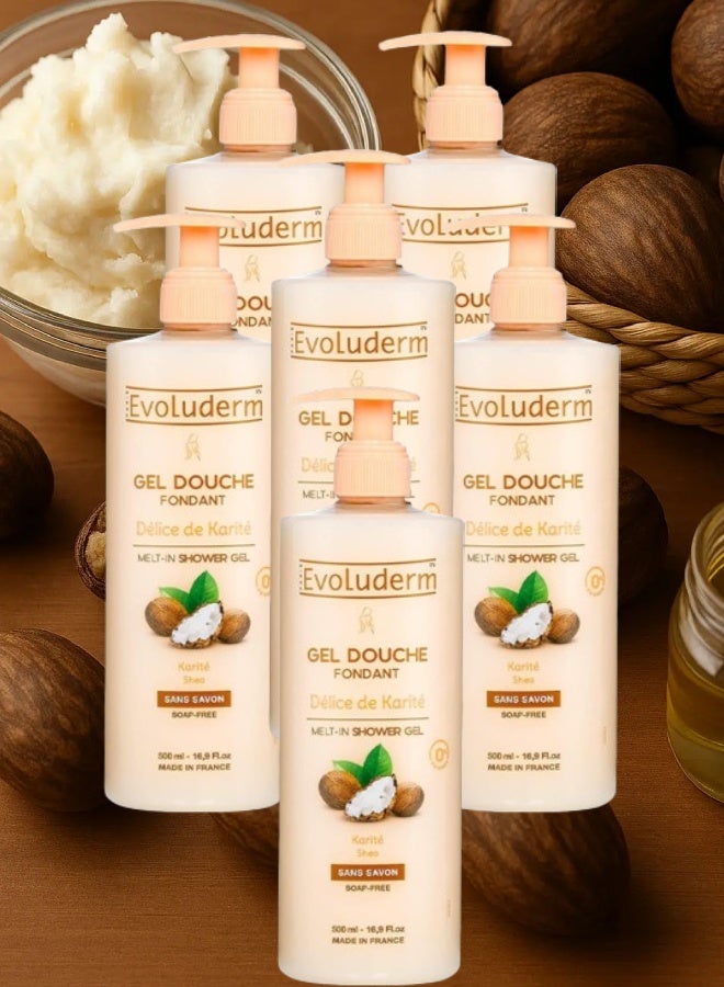 إيفو لوديرم 6 قطع جل الاستحمام إيفولوديرم ديلايت بزبدة الشيا 500مل - Image 1