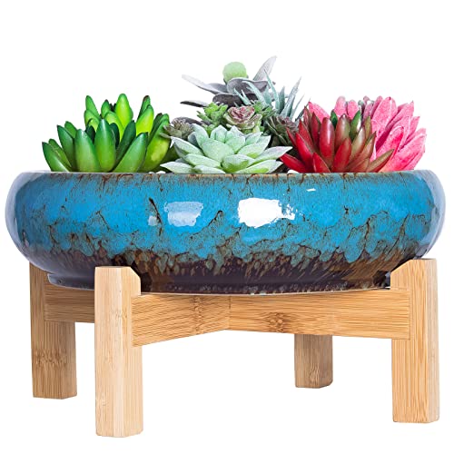 ARTKETTY Succulent Pots - Large Succulent Planters Pots with Drainage, 10 Inch Ceramic Bonsai Pot with Stand Round Shallow Planter for Indoor/Outdoor Plants Decorative Garden Cactus Flower Container Bowl - Image 1