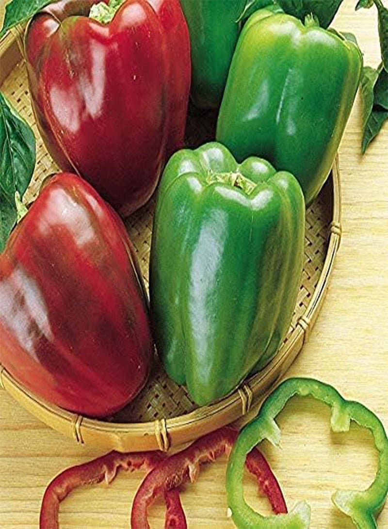 GGOOT 25Pcs Sweet Pepper Seeds Non-GMO Heirloom Bell Peppers Seed for Garden Balcony Planting Naturally Grow Harvest Fresh Vegetables