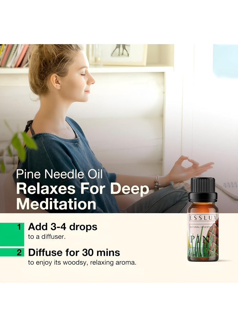 ESSLUX Esslux Pine Essential Oil for Diffuser 100 Pure Natural Invigorating Fall Pine Aroma for Candle Making Soap Making DIY Projects Perfect for Aromatherapy Refreshing Spaces 10 ML  - Image 2