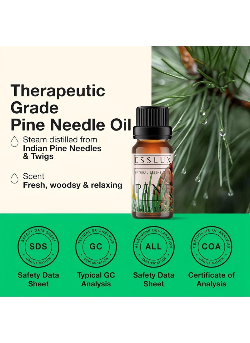 ESSLUX Esslux Pine Essential Oil for Diffuser 100 Pure Natural Invigorating Fall Pine Aroma for Candle Making Soap Making DIY Projects Perfect for Aromatherapy Refreshing Spaces 10 ML  - Image 3