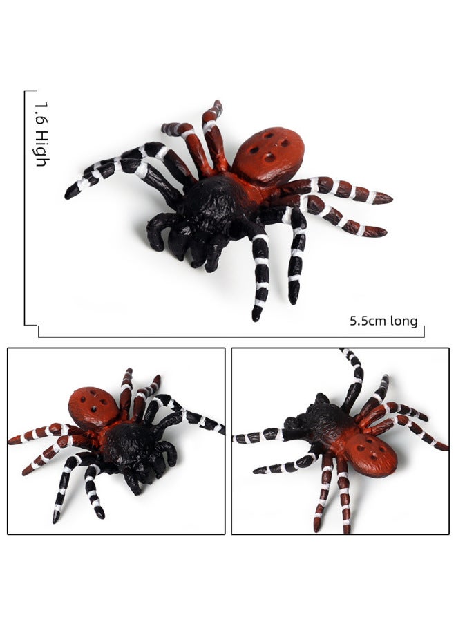 Loquat Trick Toy Simulation Spider Poisonous Spider Insect Animal Model Children's Toy Plastic Ornaments Gift-Color:2434 Cicada Growth Cycle 4 Sets - Image 4
