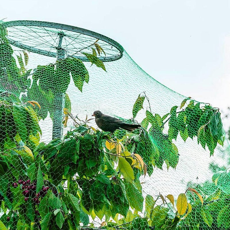 1 Roll Of Wear-Resist Anti Mesh Netting Vegetable Net Garden Net - Image 5