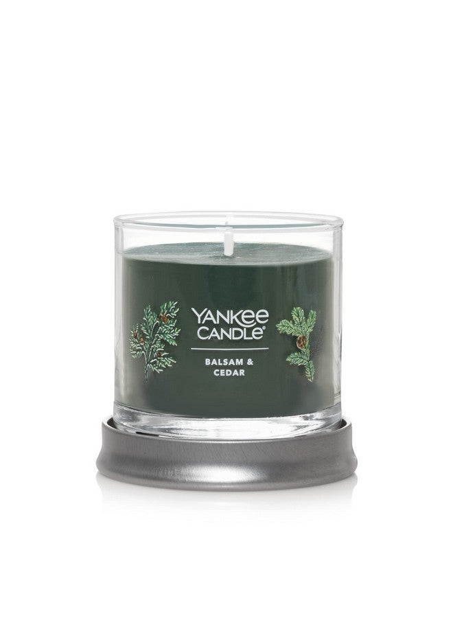 Yankee Candle Balsam & Cedar Scented, Signature 4.3oz Small Tumbler Single Wick Candle, Over 20 Hours of Burn Time, Christmas | Holiday Candle - Image 1