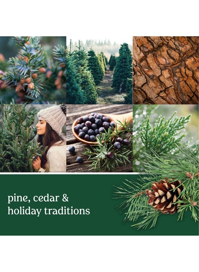 Yankee Candle Balsam & Cedar Scented, Signature 4.3oz Small Tumbler Single Wick Candle, Over 20 Hours of Burn Time, Christmas | Holiday Candle - Image 2