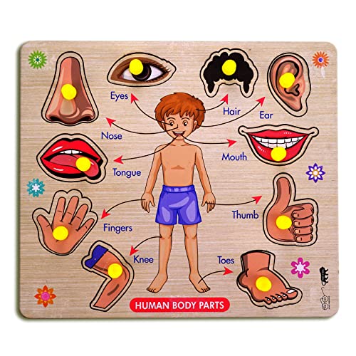 Lefan Wooden Puzzles Wooden Human Body Parts Puzzle Educational Anatomy Toy for Kids Educational Montessori Learning Puzzle for Toddlers & Preschoolers (Body Wooden Big) - Image 1