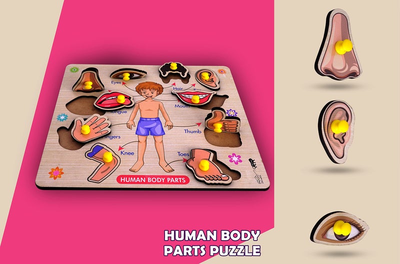 Lefan Wooden Puzzles Wooden Human Body Parts Puzzle Educational Anatomy Toy for Kids Educational Montessori Learning Puzzle for Toddlers & Preschoolers (Body Wooden Big) - Image 5