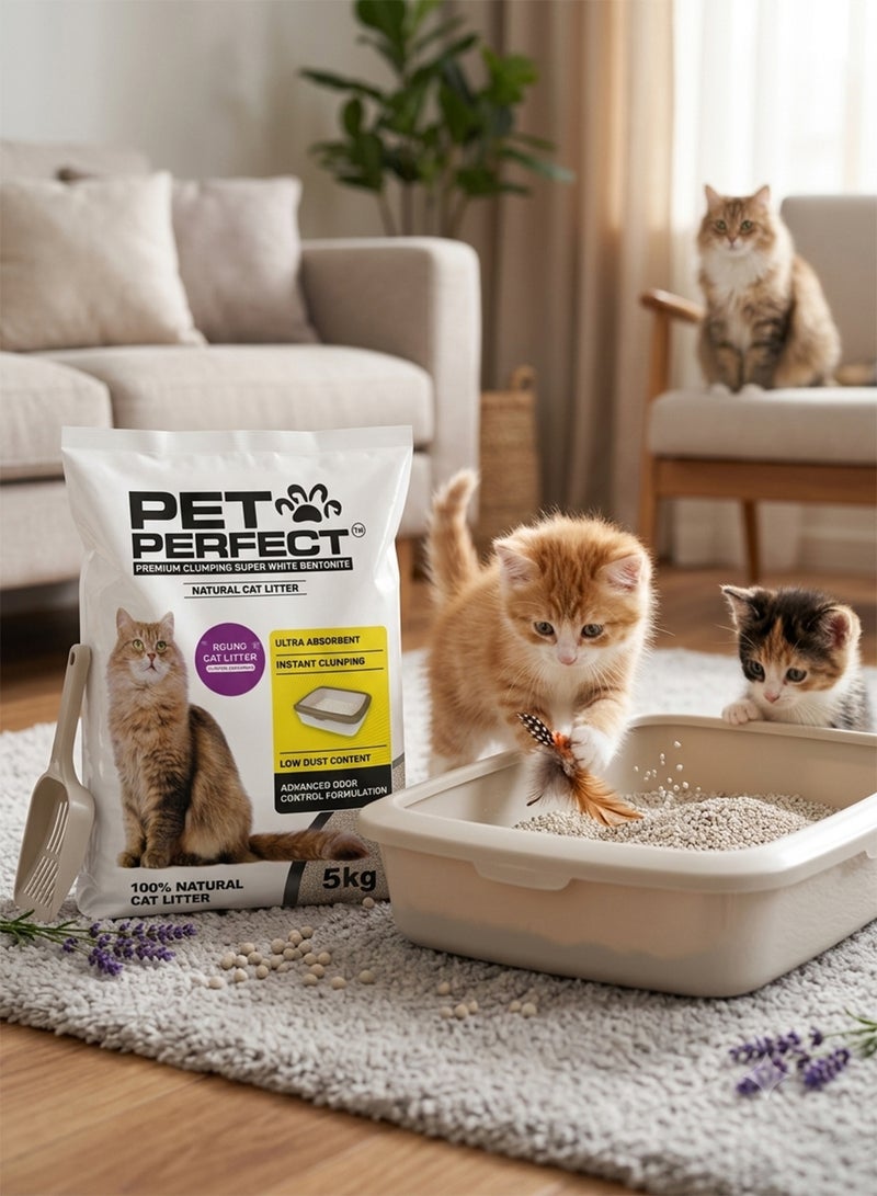 PET PERFECT Premium Clumping Super White Bentonite Cat Litter 5KG Now with Lavender fragrance - Image 2