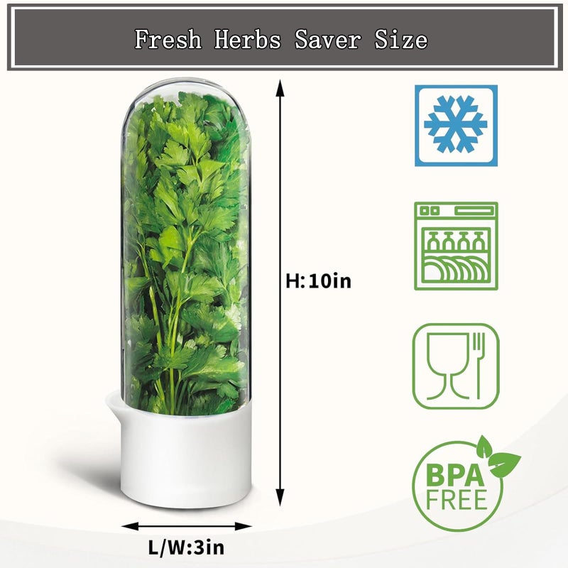 Rkssws Herb Saver for Refrigerator, Cilantro Container for Fridge, Fresh Herbs Lettuce Keeper for Refrigerator Parsley Mint Leaves Fresh Herb Keeper, Refrigerato Storage for Fresh for 2-3 Weeks - Image 2