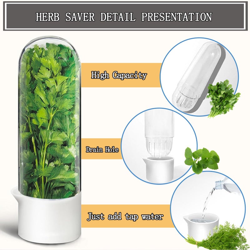 Rkssws Herb Saver for Refrigerator, Cilantro Container for Fridge, Fresh Herbs Lettuce Keeper for Refrigerator Parsley Mint Leaves Fresh Herb Keeper, Refrigerato Storage for Fresh for 2-3 Weeks - Image 5