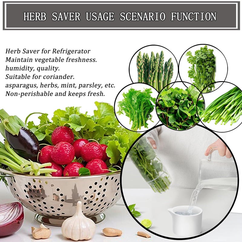 Rkssws Herb Saver for Refrigerator, Cilantro Container for Fridge, Fresh Herbs Lettuce Keeper for Refrigerator Parsley Mint Leaves Fresh Herb Keeper, Refrigerato Storage for Fresh for 2-3 Weeks - Image 3