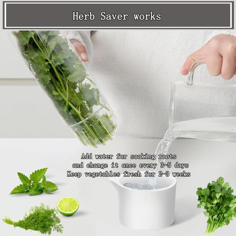 Rkssws Herb Saver for Refrigerator, Cilantro Container for Fridge, Fresh Herbs Lettuce Keeper for Refrigerator Parsley Mint Leaves Fresh Herb Keeper, Refrigerato Storage for Fresh for 2-3 Weeks - Image 4