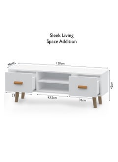 Mahmayi Mahmayi 301 Modern TV Table Stand with Storage Unit - White  - Image 2