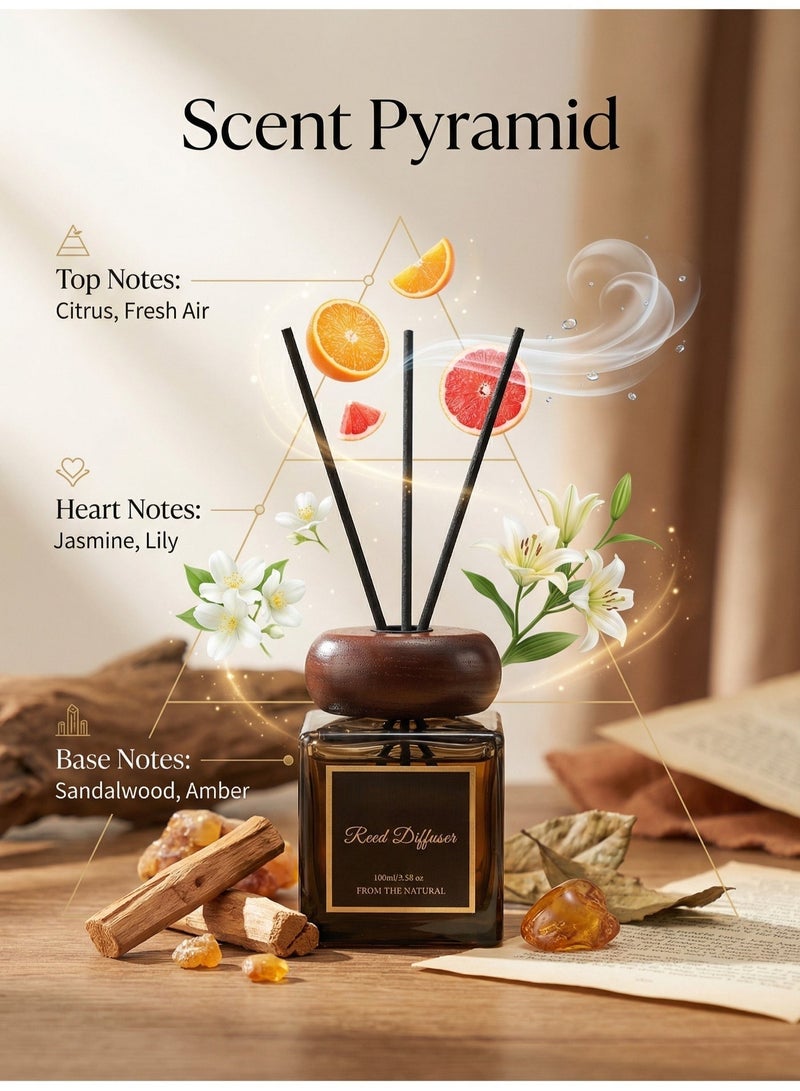 100ML Cedar Scent Reed Diffuser Long Lasting Home Fragrance Diffuser - Image 3