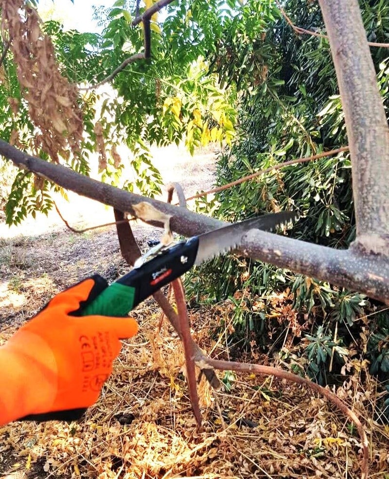 SAMURAI Heavy Duty Folding Garden Hand Pruning Saw JD150LH Cutter Comfort Handle Designed for SingleHand Use Perfect for Trimming Trees Pruning Tree Branch and More Green - Image 5