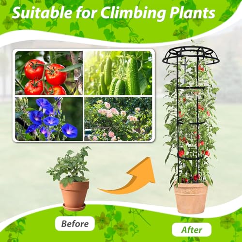 HASTHIP® 105cm Garden Plant Support Cages Stakes, Standing Trellis, Plastic Creeper Support Stands, Climbing Trellis for Plants Outdoor Indoor Plant Trellis for Flower Pots - Image 5
