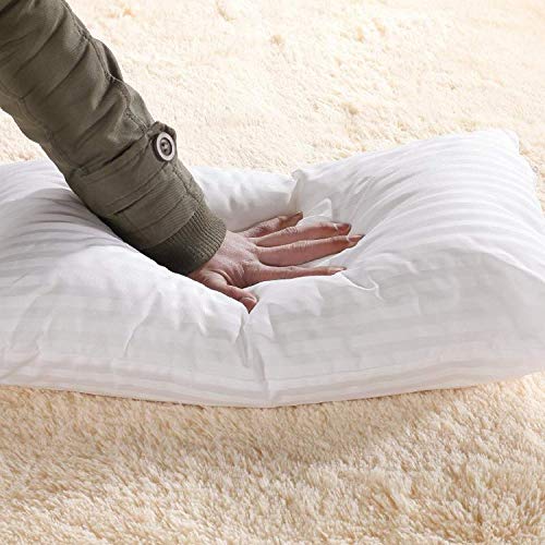 JDX Cotton Bombay Dyening Cushion Fillers/Pillows Set of 2-18X18 - Image 5