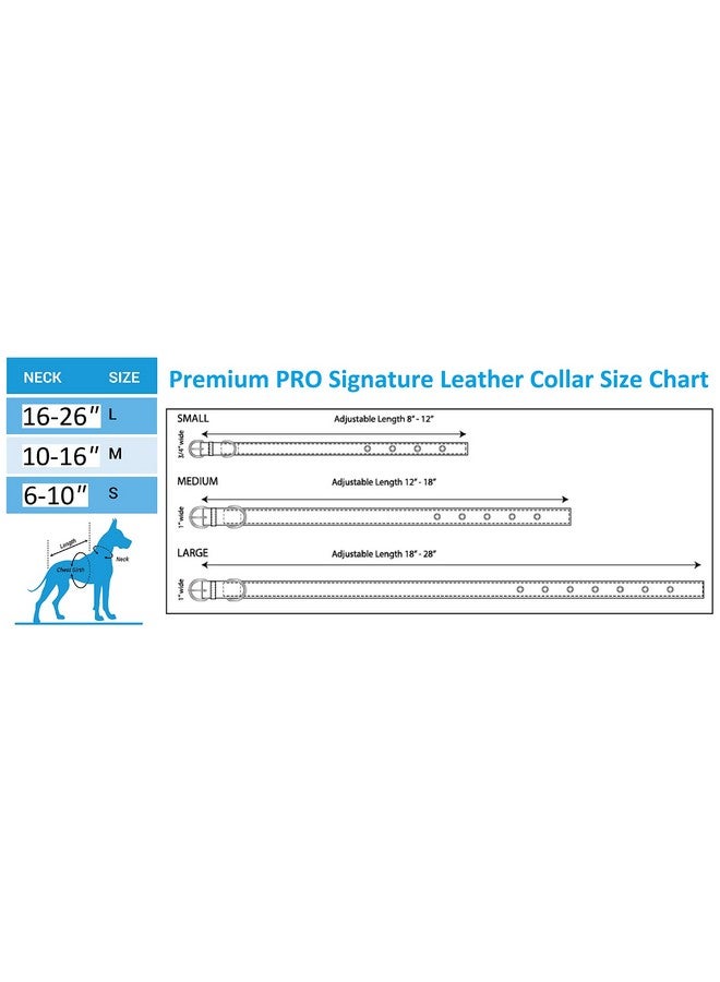 Pets First Tough Leather Pet Collar NFL Philadelphia Eagles Premium Dog Collar, Limited Edition, Size Large. Best & Strongest Heavy-Duty Dog Collar!, Large (20-29"" Long & 1"" Wide) (PHL-3081-LG) - Image 5