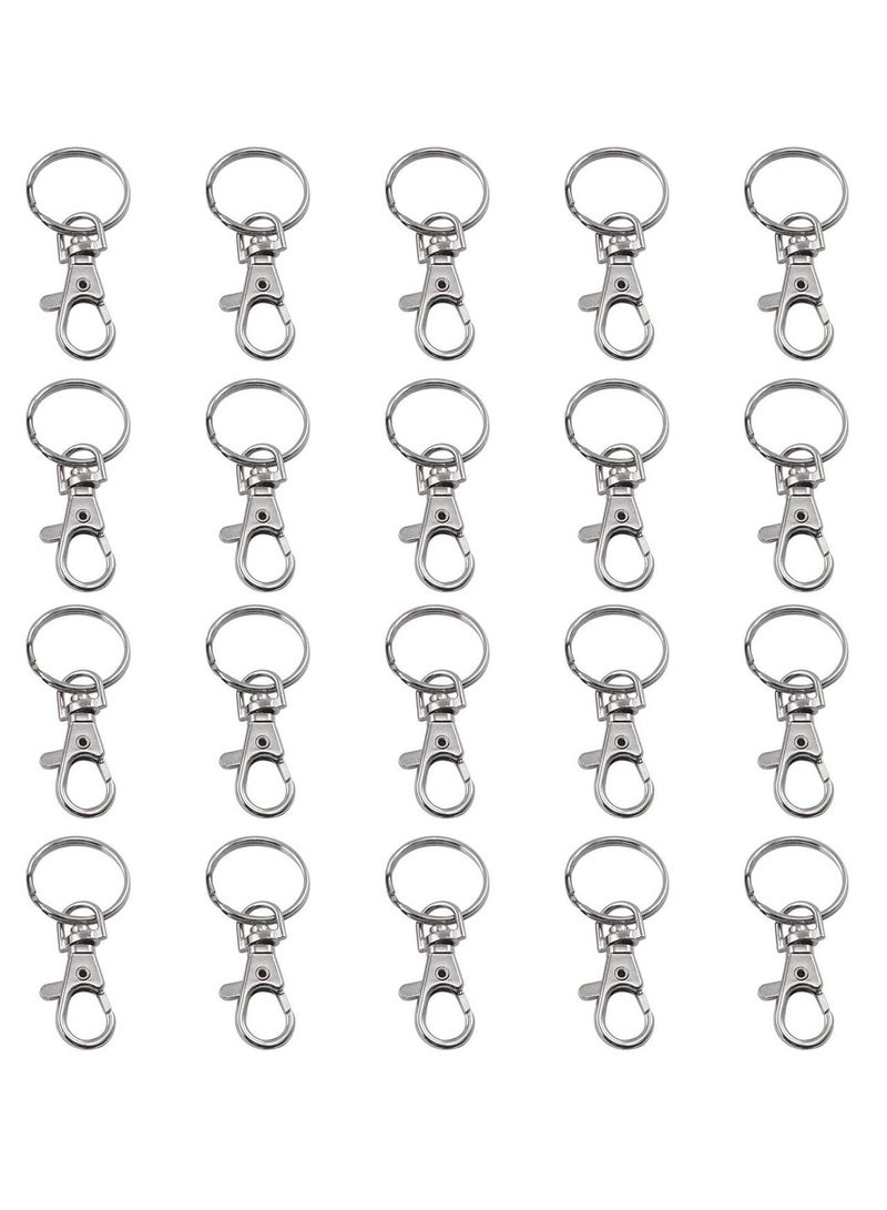 SOLARAE 20 PCS Metal Keyring, Carabiner Clip Keychains Lobster Clasps Swivel Clips Key Chain for Men Women - Image 1