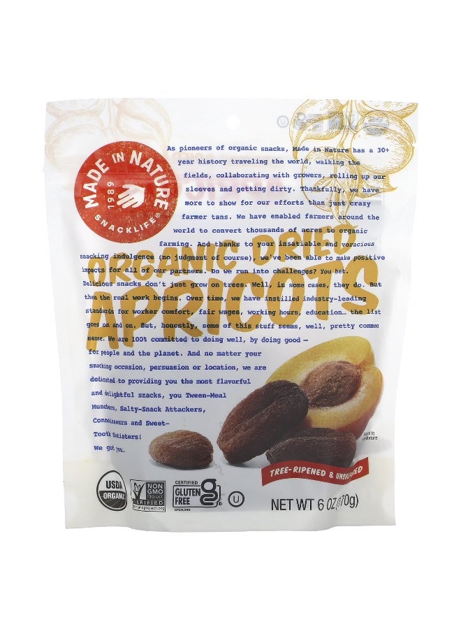 Made in Nature, Organic Dried Apricots, Tree-Ripened & Unsulfured, 6 oz (170 g) - Image 1